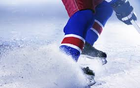 Vídeň Capitals favoritem EBEL i MOL ligy